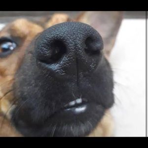 Meet your Posher, Alejandra